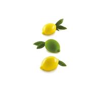 silikomart Limone & Lime 120