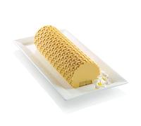 SILIKOMART- Magic BÛCHE - Kit para semifríos