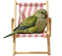 Silla de hámster para mascotas, decoración de hábitat para animales pequeños