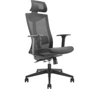 Silla de Oficina ergonómica con Ruedas y Soporte Lumbar, Silla giratoria, Regulable en Altura, función de inclinación del Respaldo Silla de Escritorio, Carga máxima 150 kg (Silla de Oficina, 1)