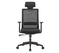 Ergo Office Silla de Oficina Ergonómica Premium con Ruedas, Respaldo Alto y Soporte Lumbar | Giratoria | Regulable en Altura, Función de Inclinación del Respaldo, hasta 150 kg