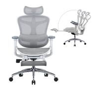 Silla de Oficina Ergonómica SIHOO Doro C300 Blanca - Reposabrazos 3D, Soporte Lumbar Autoajustable, Respaldo de Malla, Inclinación en 3 Posiciones - Nuevo
