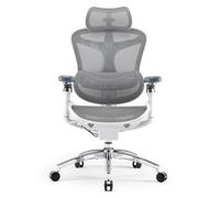 Silla de oficina ergonómica SIHOO Doro C300 Pro - Soporte lumbar autoajustable, Reposabrazos 5D, Respaldo de Malla - Blanco - Nuevo