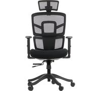 Silla de oficina giratoria ergonómica TREX, base de nailon, reposabrazos ajustables, asiento deslizante (hacia adelante y hacia atrás), color