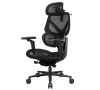 Silla ergonómica ThunderX3 Flex Pro Mesh (Negro) - Nuevo