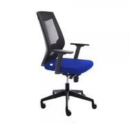 Silla Oficina Ergonómica Con Regulación Lumbar | Silla De Escritorio Para Ordenador, Cómoda Y Giratoria, Color Azul Y Negro