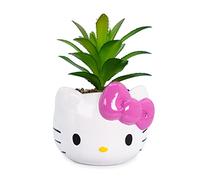 Silver Buffalo Sanrio Hello Kitty Face - Mini Maceta de cerámica de 3 Pulgadas con suculenta Artificial