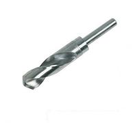 Silverline Tools 675064 - Broca con vástago reducido (20 mm)