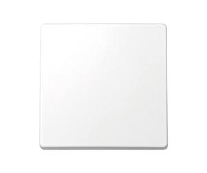 Simon 73010-60 - Tecla Interruptor y Conmutador s-73, Blanco