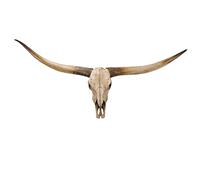 SJASD Decoración de Pared Cabeza de Toro Longhorn 178 cm, Cráneo de Vaca de Resina Realista Artesanal, Cuernos Desmontables y Agujeros preperforados para fácil Montaje