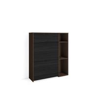 Skraut Home | Zapatero | Armario Entrada recibidor | 90x102x27 cm | 10 Pares de Zapatos | Complementos | Estilo Moderno | Roble Oscuro y Negro