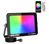 SKYWORLD 1x Foco LED RGB Exterior, 100W 10000 LM Proyector Led RGBW Colores | con Enchufe, APP Remoto Control, Multicolor, Minutero, Impermeable, Iluminación para Fiesta Terraza Jardin Decoración