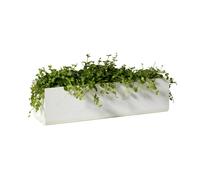 SMD Design Macetero de ventana Jorda Blanco 60 cm