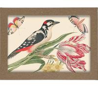 Smithsonian Birds and Flowers Notecard Set: 8 Blank Notecards of 4 Designs & Envelopes
