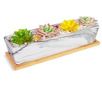 Solidchoice - Maceta grande para suculentas con plato de desagüe, ideal para uso en interiores