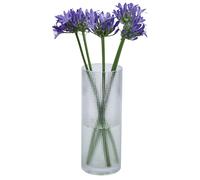 Solidchoice - Vaso cilíndrico de vidrio transparente, 25 cm de altura