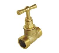SOMATHERM FOR YOU- intercepción de doble tornillo macho MM15 / 21 - Vástago cabeza - en latón en bruto