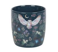 Something Different Wholesale Mystical - Taza azul marino con búho y luna, 320 ml, con búhos voladores, lunas crecientes y plantas del bosque, apta para microondas y lavavajillas, ideal para té de