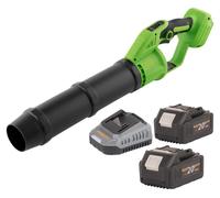 Soplador de hojas con batería Procraft PB24bb 20 V sin escobillas + 2 baterías de 4,0 Ah + cargador