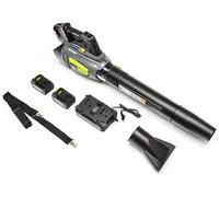 Soplador de hojas inalámbrico de 2x20V y 4Ah
