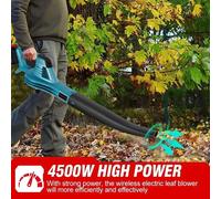 Soplador de hojas inalámbrico - Soplador de hojas profesional - Soplador de aire - 4500W - 2 baterías