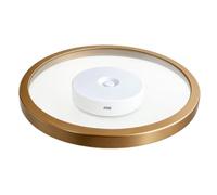 Soporte de exhibición flotante iluminado para decoración del hogar | Soporte de pared para plantas para sala de estar, interior, dormitorio, entrada