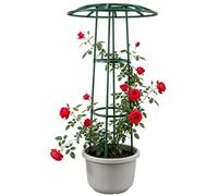 Soporte Exterior para Plantas Trepadoras Estructura Vegetal Tipo Paraguas | Enrejado Para Flores Apto para Clemátides, Enredaderas, Pepinos, en Exterior, Jardín, Patio y Más Plantas