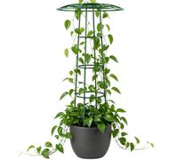 Soporte Exterior para Plantas Trepadoras Soporte Vegetal con Forma Paraguas | Enrejado Para Flores Para Exterior Patio Al Aire Libre Rosas Clemátides Enredaderas Pepinos Judía Hortalizas