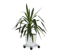 Soporte macetas ruedas base para plantas 30 kg plateado base con ruedas 32 cm