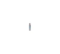 Soudal DENU6570036 Soudafoam Gun-Pistola de champán, 750 ml, Azul