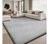 Sour Lemon Alfombras Alfombras Sala de Estar Grande 120 x 170 cm, Alfombra Gris para Dormitorio Alfombras de Área Lavables Antideslizante Alfombra Esponjosa Shaggy Alfombra Crema Alfombras Alfombras