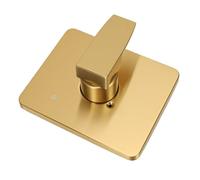 Spacnana Kit de Manija de Ajuste de Ducha de Oro Cepillado, Reemplazo para Válvula Universal Serie R10000 13 14, con Placa de Ajuste Cuadrada de Aleación de Aluminio