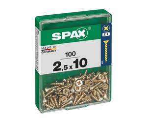 Spax 4081020250102 tornillouerca 10 mm 100 pieza(s)