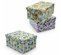 Spetebo Juego de 3 cajas de almacenamiento con tapa de 51 x 37 cm - Frutas - Caja apilable de cartón con asas de 45 litros - Caja organizadora de almacenamiento multiusos para juguetes, caja de regalo