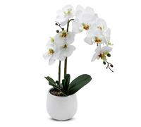 Spetebo Real Touch - Orquídea artificial (50 cm, en maceta de cerámica), color blanco