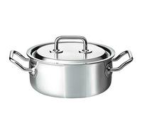 Spring Brigade Premium - Olla con tapa (20 cm), color plateado