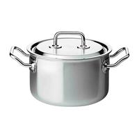 Spring Brigade Premium - Olla con tapa (20 cm), color plateado
