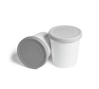 SPRINGLANE Recipientes conservación de helados 1L, juego de 2, Recipientes con tapas, Contenedor para helado