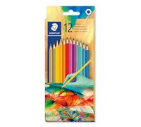 STAEDTLER 175 175C12E2-2 - Lápiz de color hexagonal (estuche de cartón con 12 lápices de colores surtidos, edición 2, versión 2)