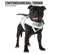 Staffordshire Bull Terrier - Calendario moderno 2024