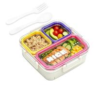 Stainless Steel Lunch Box, Leakproof Divided Food Storage Container