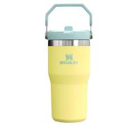 STANLEY IceFlow - Vaso de acero inoxidable - Botella de agua aislada al vacío para el hogar, la oficina o el automóvil, reutilizable, con pajilla, resistente a fugas, se puede voltear en frío durante