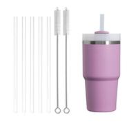 Stanley - Pajitas transparentes de repuesto para vaso Adventure Quencher de 14 onzas y 20 onzas, además de cepillo limpiador de pajitas para accesorios de tazas