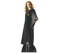 STAR CUTOUTS De los libros oficiales de Harry Potter con recortes de estrellas, corte de cartón de Hermione Granger (Emma Watson) Hogwarts School of Witchcraft and Wizardry Uniforme de 163 cm de alto