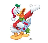 STAR CUTOUTS Divertido cartón 1 Dimensional Life Size Disney Donald Duck Quacker 82 x 73 cm. Decoración de Navidad exhibición de niños Festivos, Grottos & Shop Windows, Multicolor, Star Mini