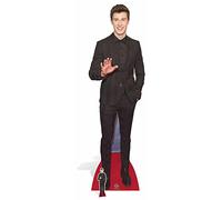 Star Cutouts Shawn Mendes (cartón, Multicolor