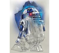 Star Wars: El último Jedi R2-D2 Blanco y Negro 60 x 80 cm, Color Multicolor