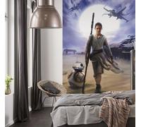 Star Wars Pared Mural Imagen Póster Rey Azul Decoración Teen Adulto Fan Regalo