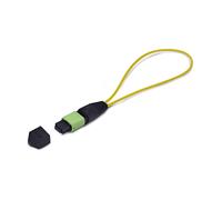 StarTech.com Adaptador de bucle invertido MPO-12 monomodo hembra Verde