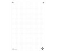 Staufen Ursus Style Blocs de papel de rotafolio, 5 unidades de 20 hojas cada una, 68 x 99 cm, 80 g/m² a cuadros